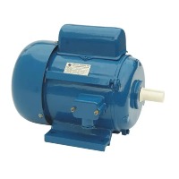Fossil 1HP Single Phase AC Motor, 1440RPM, Copper Winding